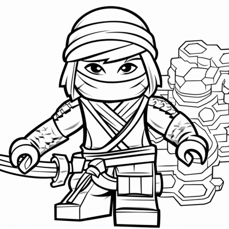 Ninjago 6573